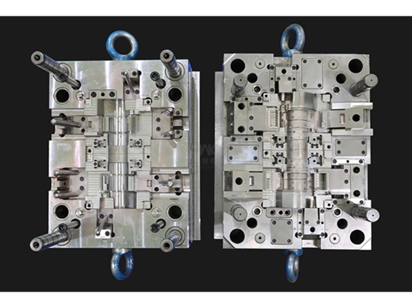 Mould pictures